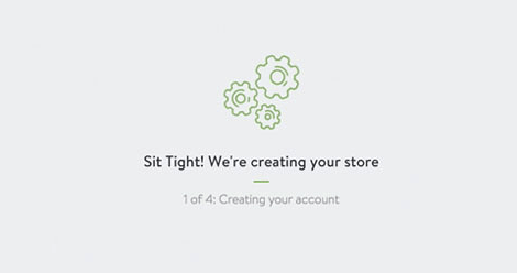 picture of a shopify store creation page