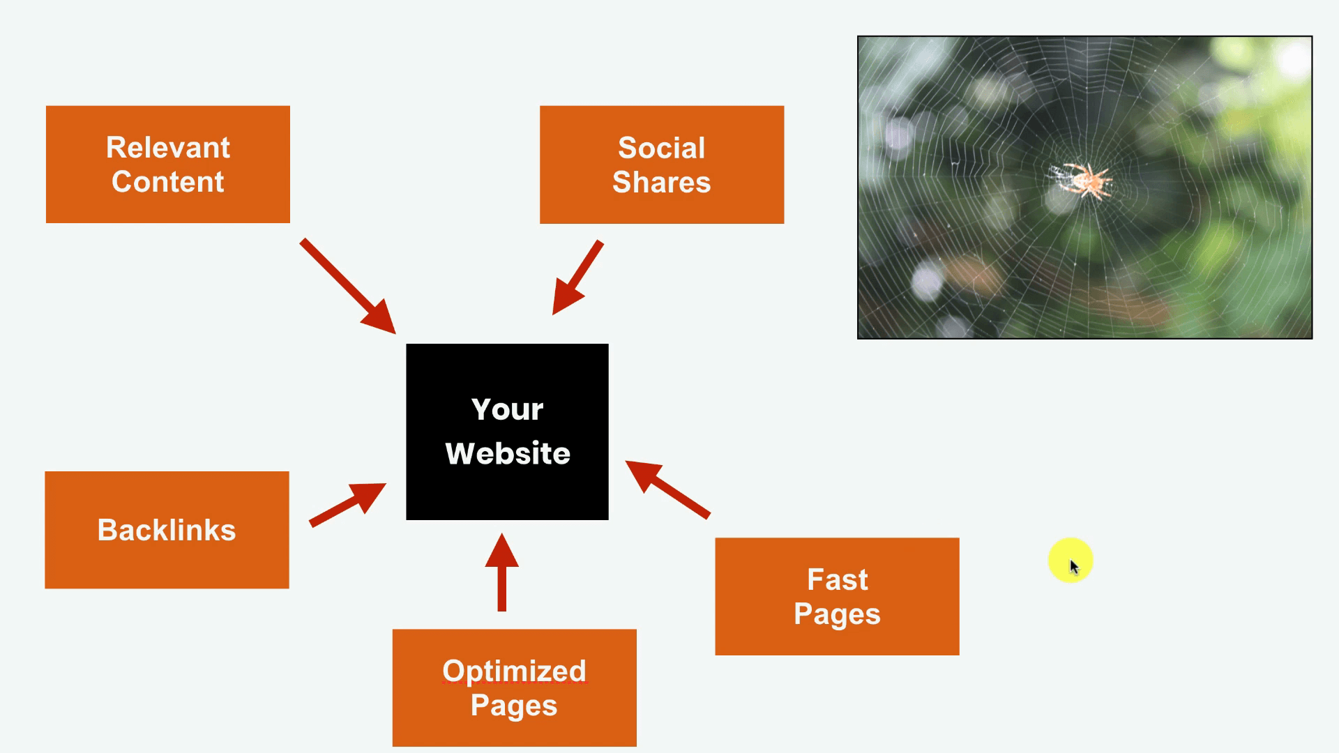 savage affiliates seo training